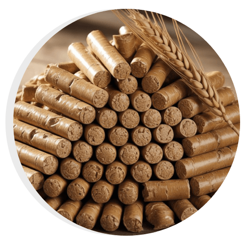Biomass Pellet